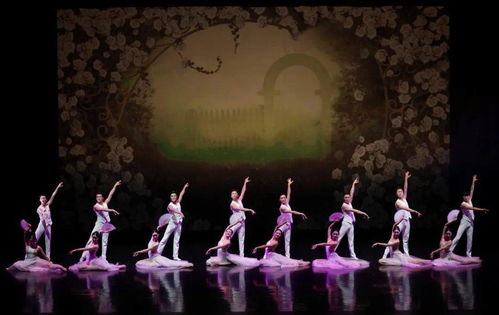 舞動經典 以舞今信息為媒，重賞歌劇名篇新境